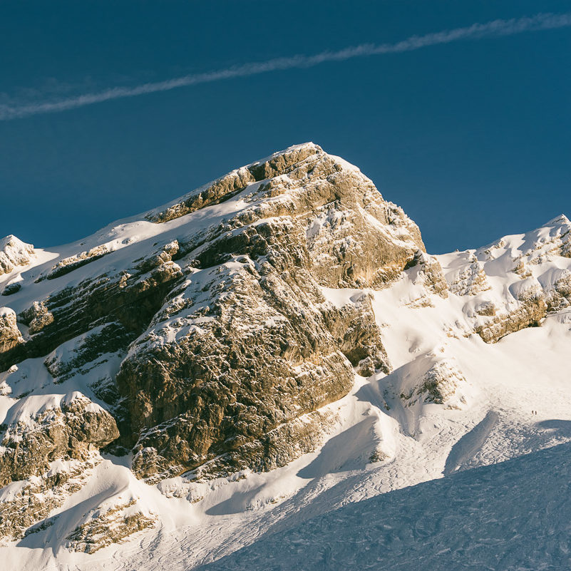 ROSP_2019_ride__150119_WEB-5